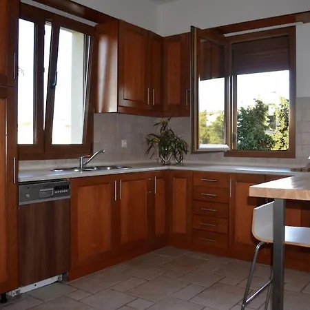 公寓 Elektra Apartment-kallithea